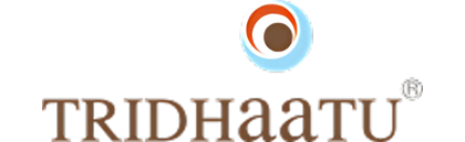 Tridhaatu Realty logo